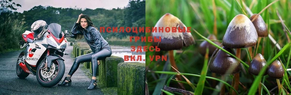 винт Армянск