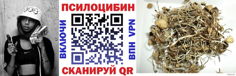 Галлюциногенные грибы мицелий Новодвинск