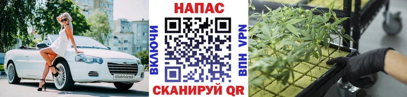 МАРИХУАНА ГИДРОПОН Новодвинск